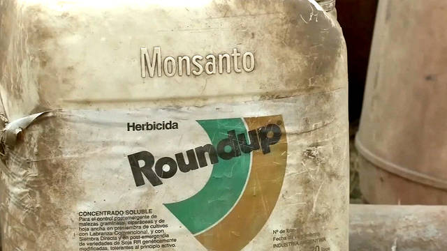 As EPA Insists Weed Killer Roundup is Safe, a Jury Orders Monsanto to Pay $2B to Couple With Cancer