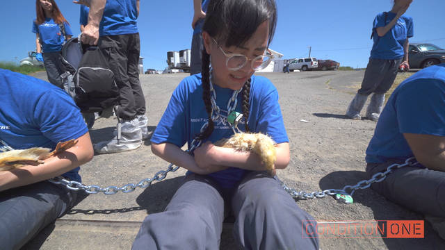 Meet the Animal Rights Activists Facing Prison Time for Rescuing Ducks, Piglets from Factory Farms