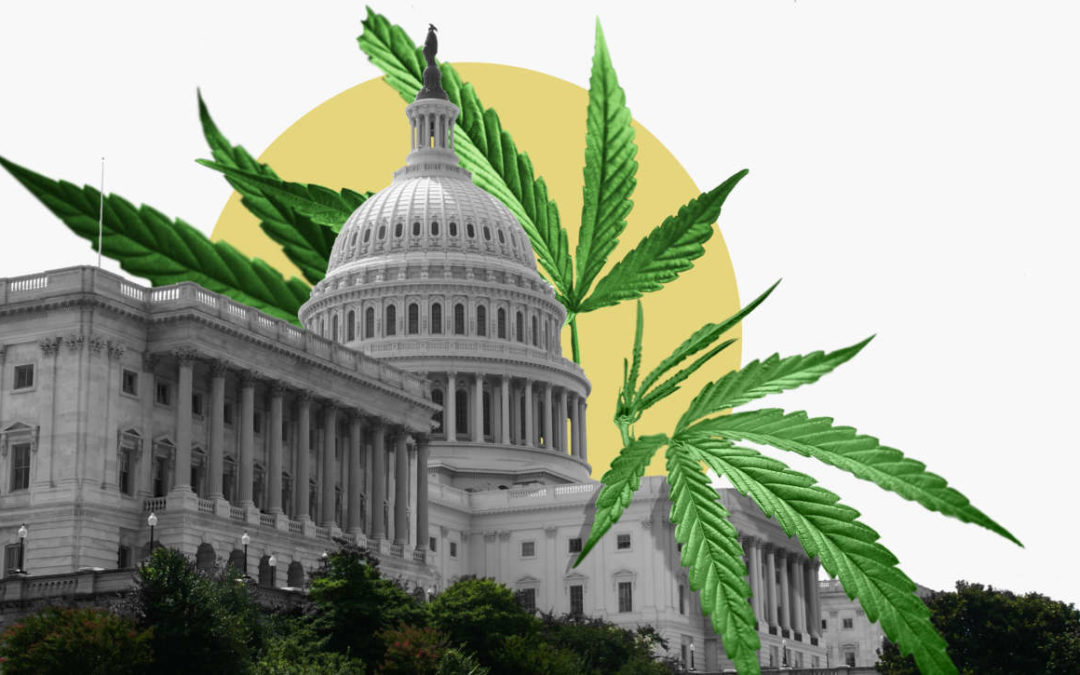The House Is About to Pass Marijuana Decriminalization. What Will the Senate Do?